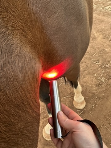 Photonic Therapy red light treatment